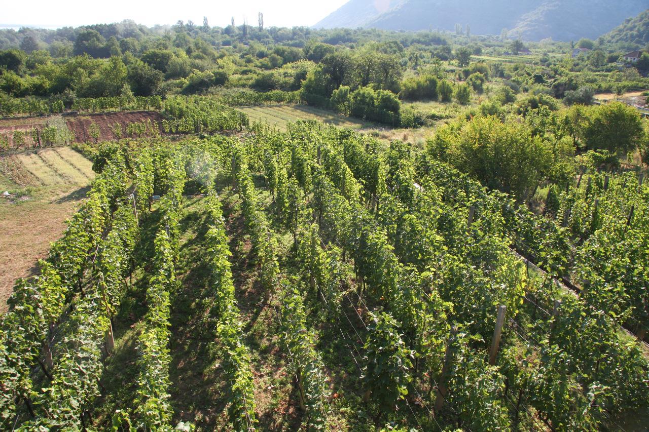 Vrzina Farm House Skadar Lake Virpazar Esterno foto