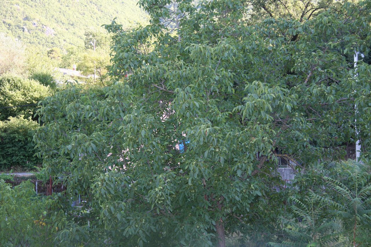 Vrzina Farm House Skadar Lake Virpazar Esterno foto