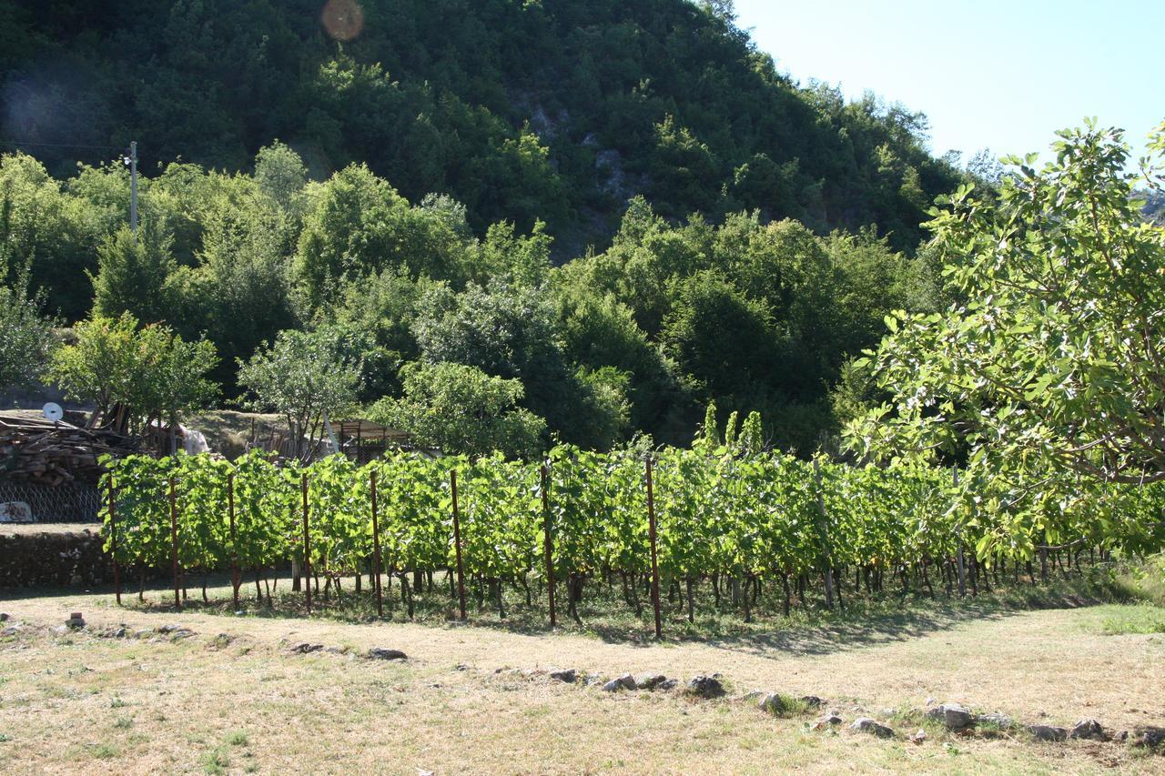 Vrzina Farm House Skadar Lake Virpazar Esterno foto