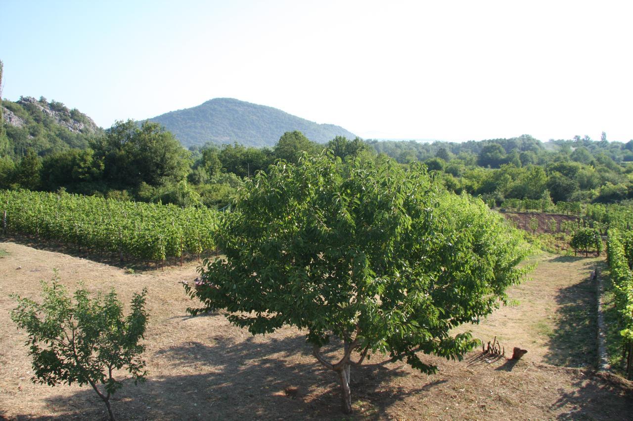 Vrzina Farm House Skadar Lake Virpazar Esterno foto