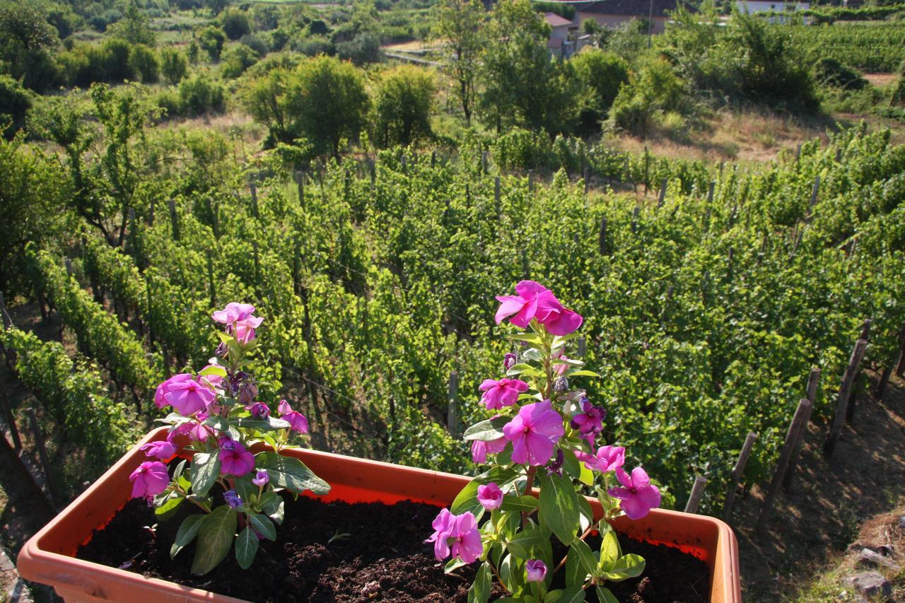 Vrzina Farm House Skadar Lake Virpazar Esterno foto