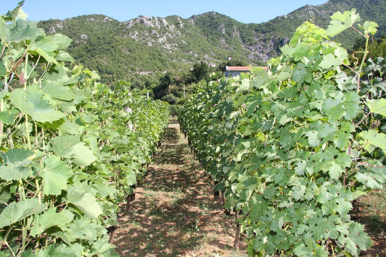 Vrzina Farm House Skadar Lake Virpazar Esterno foto