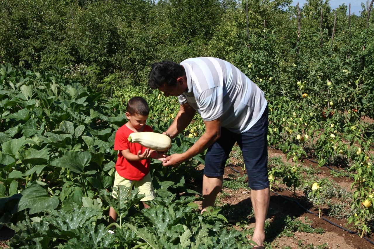 Vrzina Farm House Skadar Lake Virpazar Esterno foto